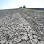 Во нескольких районах Башкирии ввели режим чрезвычайной ситуации из-за засухи